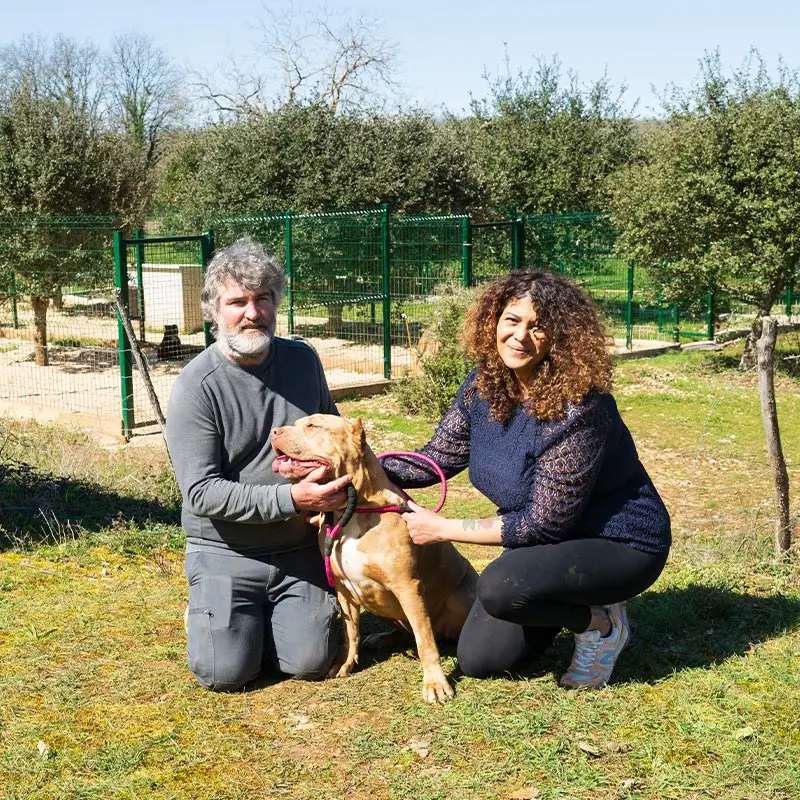 Cedric et Laura, élevage the hounds farm