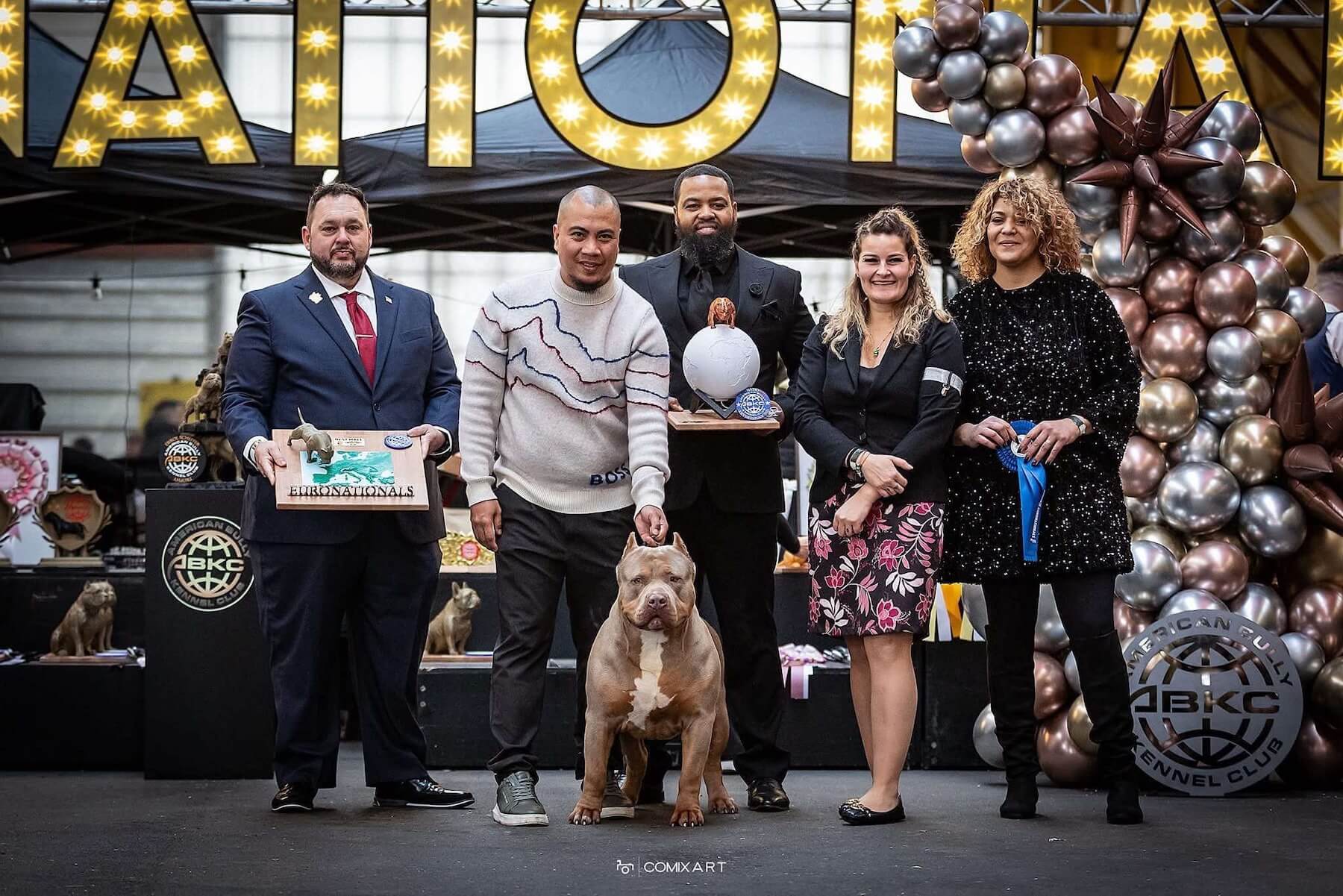 victoire de notre american bully aux victoires ABKC