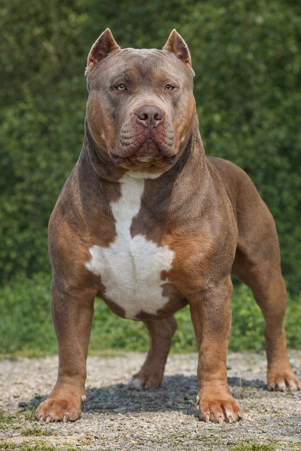 hermes-junior Hermes Junior